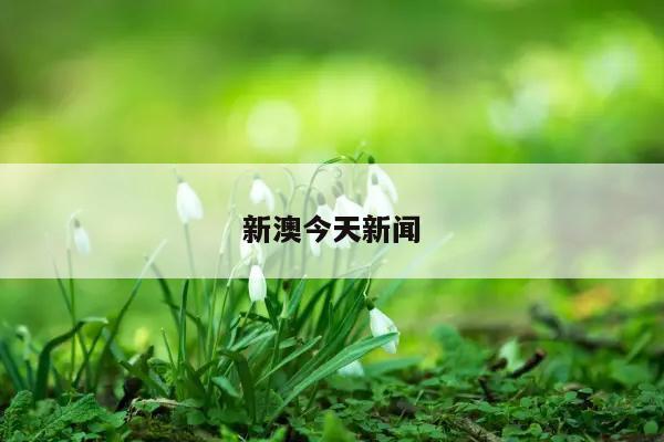 新澳今天新闻/新澳今天新闻联播