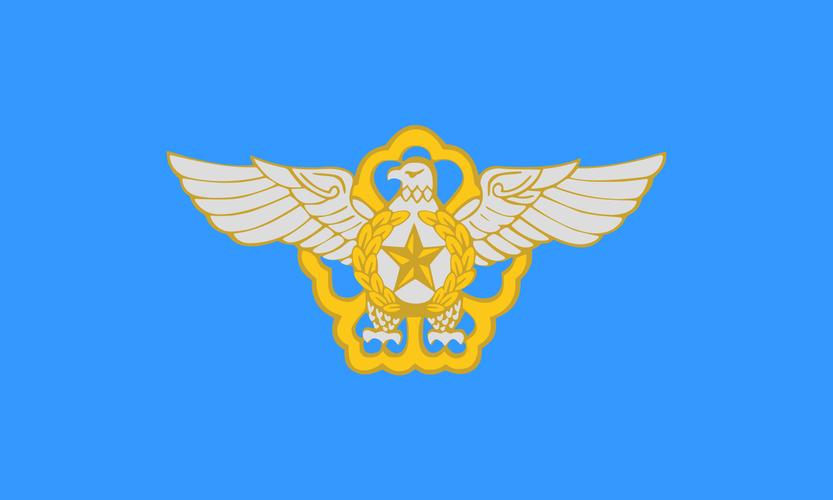 韩空军误发炸弹致歉;韩军空输