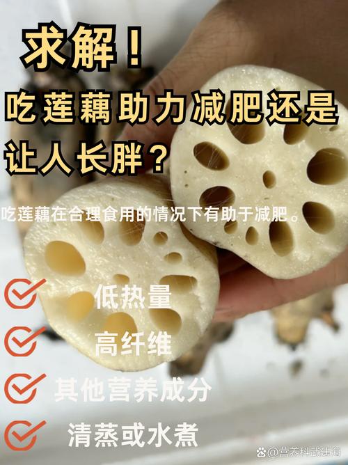 超3米莲藕刷新纪录;莲藕可以长多高