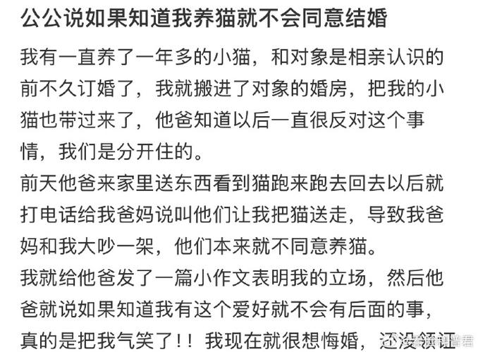 公公给陪嫁猫做小床;公公给陪嫁猫做小床好吗