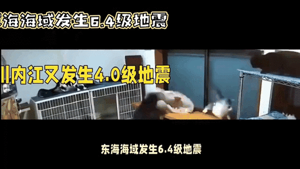 震后又发生6.4级地震