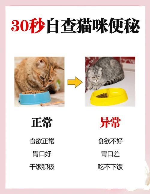 幼猫被人灌水腹胀;幼猫被人灌水腹胀怎么办