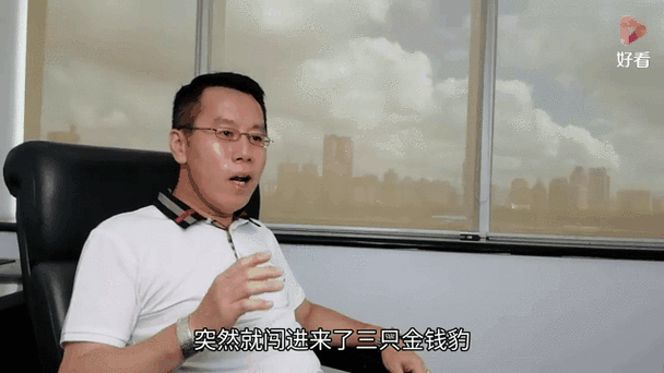 杭州金钱豹外逃4年,杭州金钱豹外逃视频