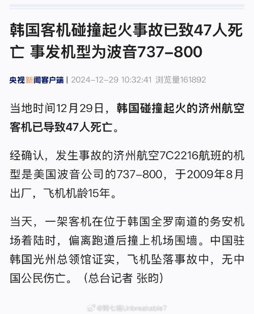 韩国发生飞机坠毁,韩国发生飞机坠毁事件