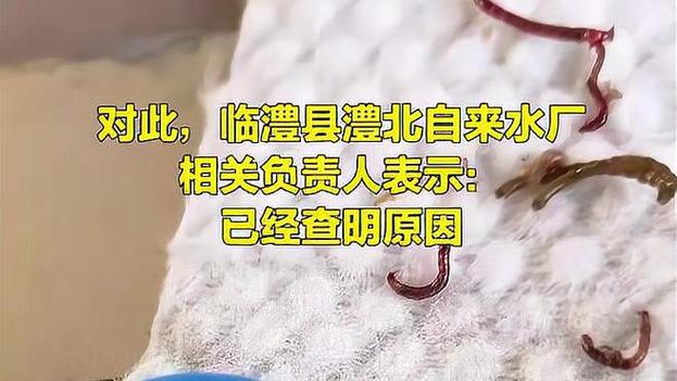 自来水中含活体虫,自来水中含活体虫吗