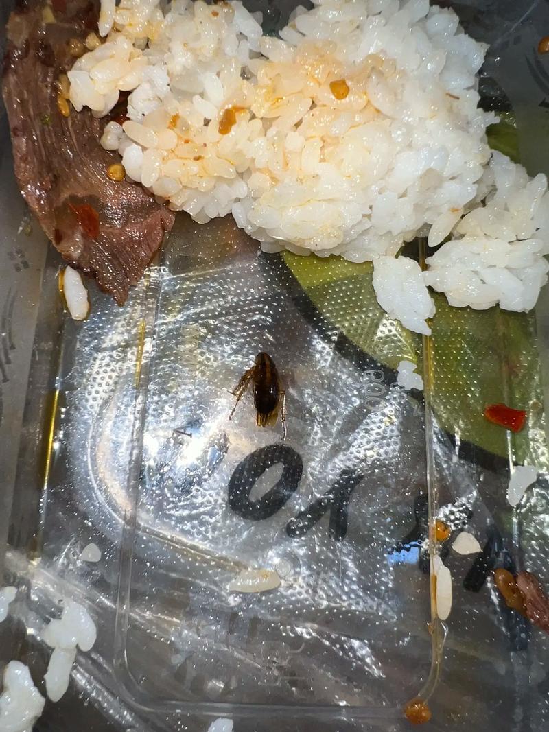 酒店早餐吃出蒸蟑螂,酒店早餐吃出蒸蟑螂怎么赔偿
