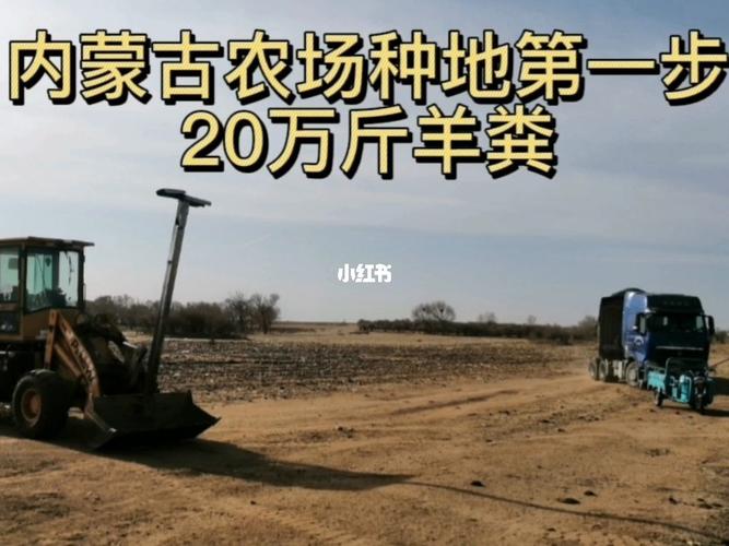 中资农场遭持枪抢劫,中资农场遭持枪抢劫视频